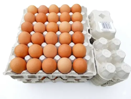 Plateau de 30 œufs plein air Breizh'on Egg, issus de fermes bretonnes bio à taille humaine