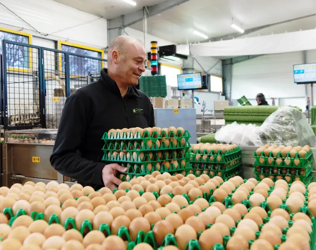 De la ferme familiale à Ovogallia, l'évolution de Breizh on Egg en Bretagne