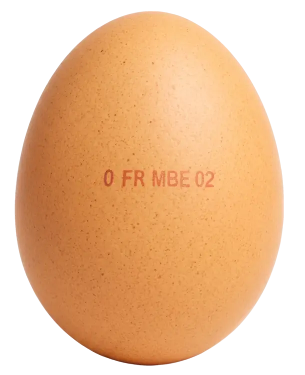 Lire le code sur nos œufs – Breizh'on Egg : Producteur d'œufs en Bretagne - Bio et plein air